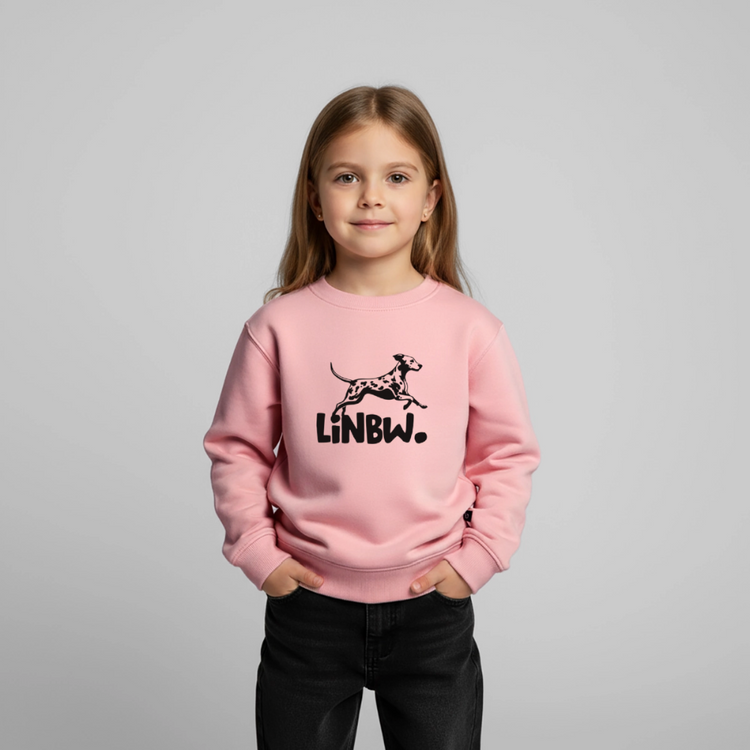 Pullover für Kinder - LiNBW.