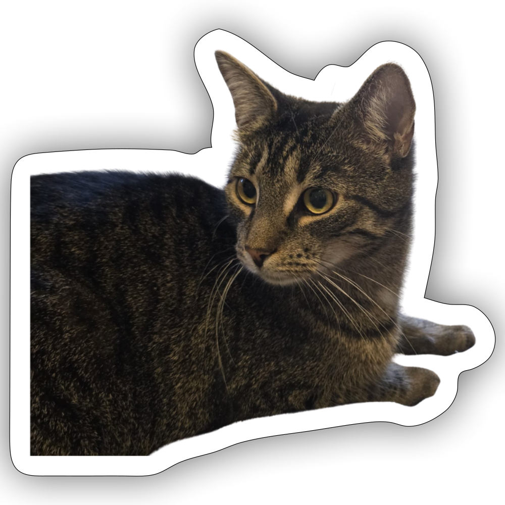 Sticker - LiNBW.