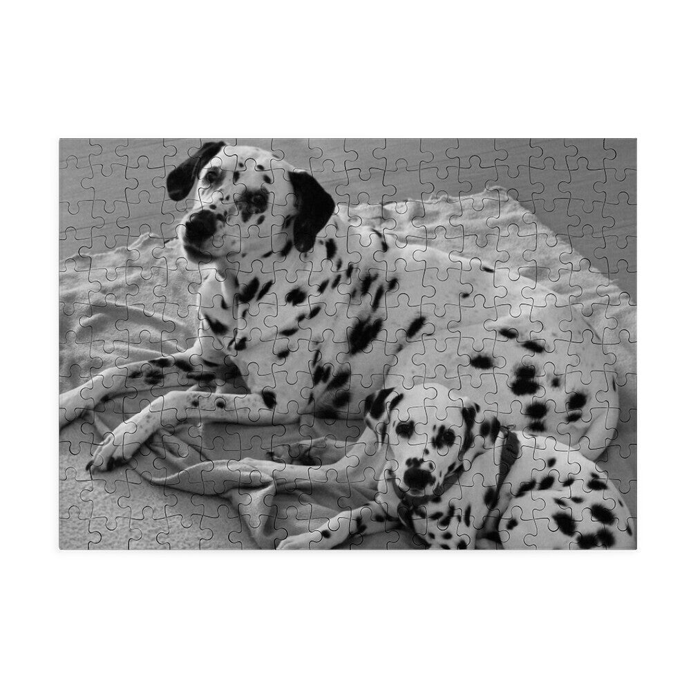 Puzzle - LiNBW.