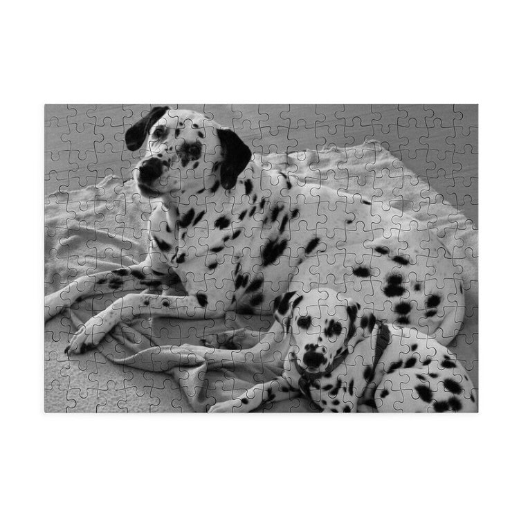 Puzzle - LiNBW.