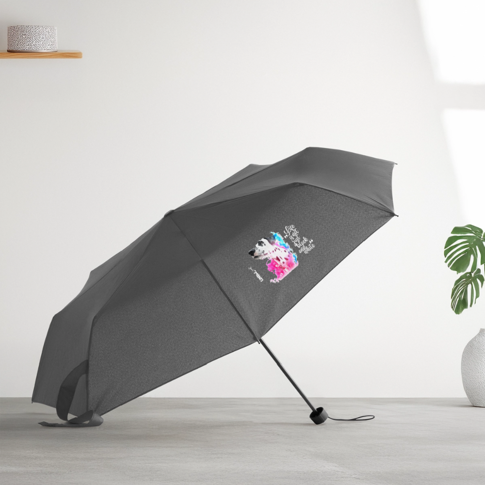 Boa's Regenschirm Splash Edition Life is not just black and white - Grau