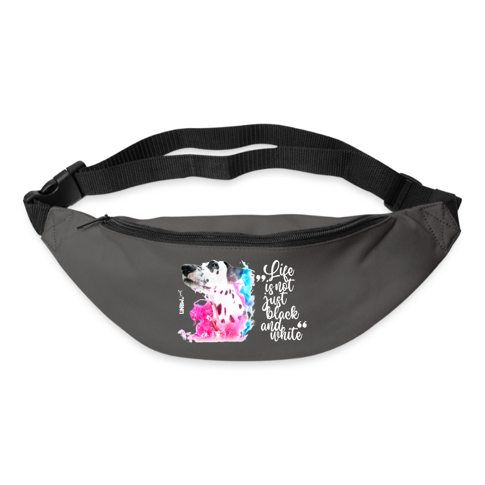 Boa's Gürteltasche Classic Splash - Graphite