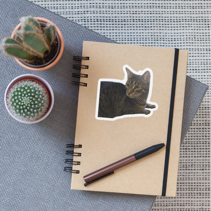 Simba´s Sticker - LiNBW.