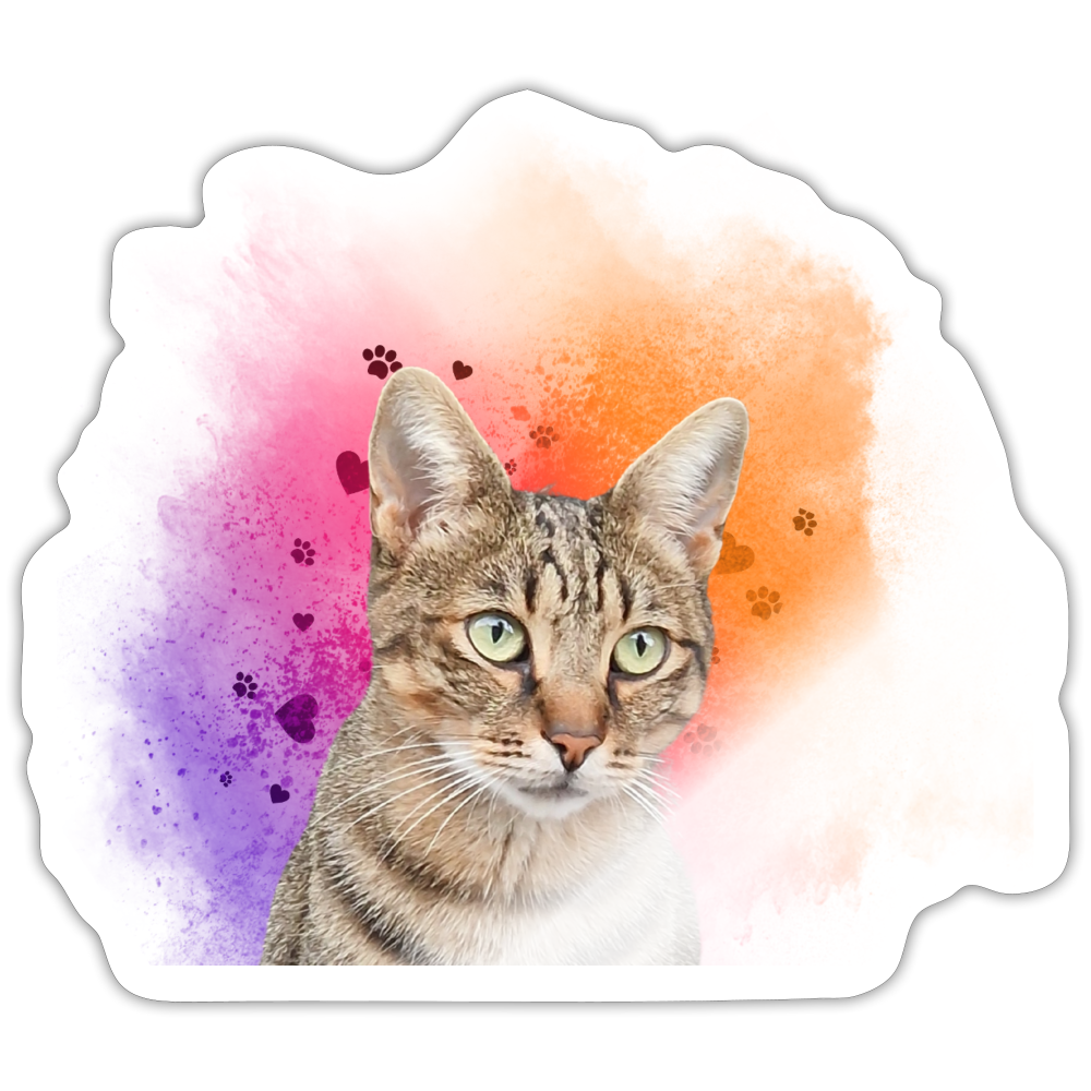 Pedro´s Sticker Splash Edition - LiNBW.
