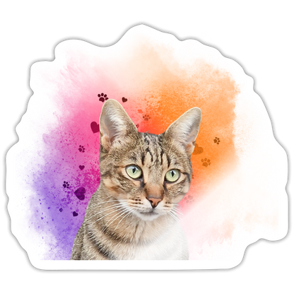 Pedro´s Sticker Splash Edition - LiNBW.