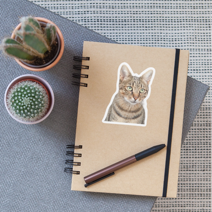 Sticker Pedro - LiNBW.