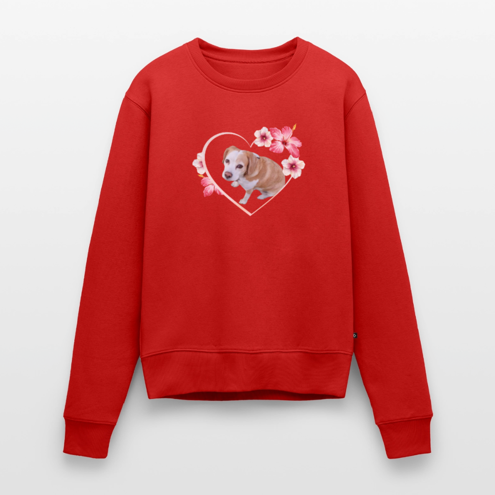 Luna's Pullover - LiNBW.
