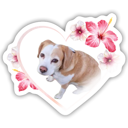 Luna´s Sticker - LiNBW.