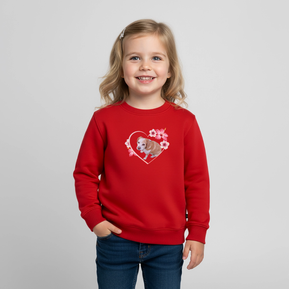 Luna's Pullover - LiNBW.