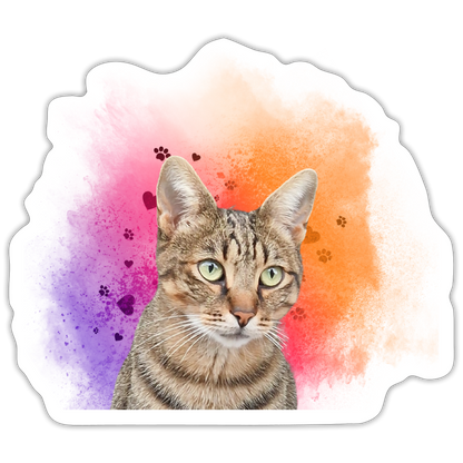 Pedro´s Sticker Splash Edition - LiNBW.