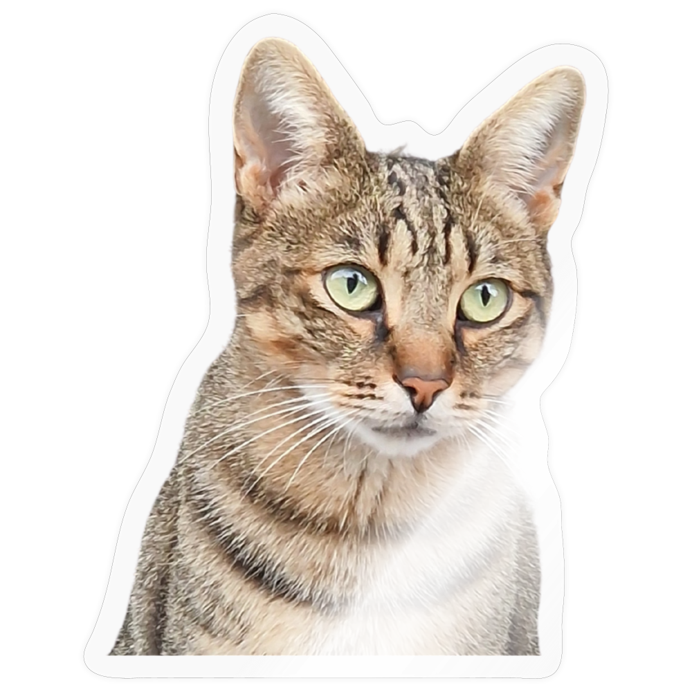 Pedro´s Sticker Classic Edition - LiNBW.