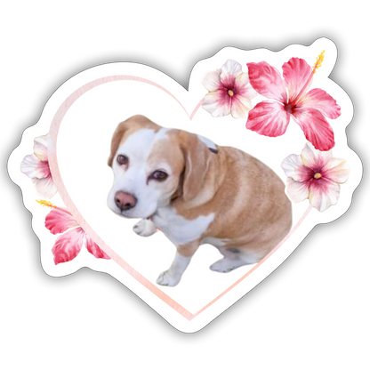 Luna´s Sticker - LiNBW.