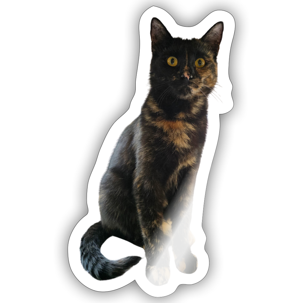 Nala´s Sticker - LiNBW.