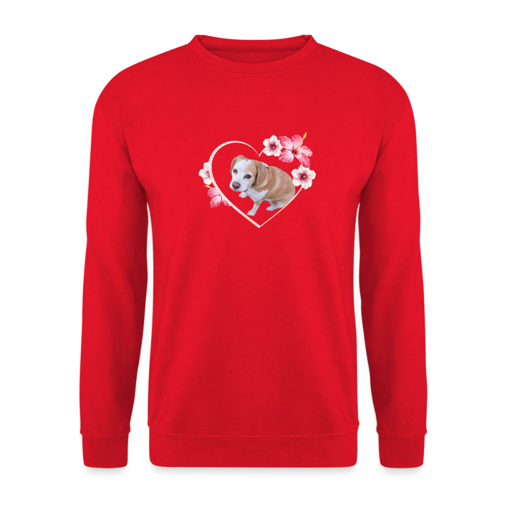 Luna's Classic Pullover - LiNBW.