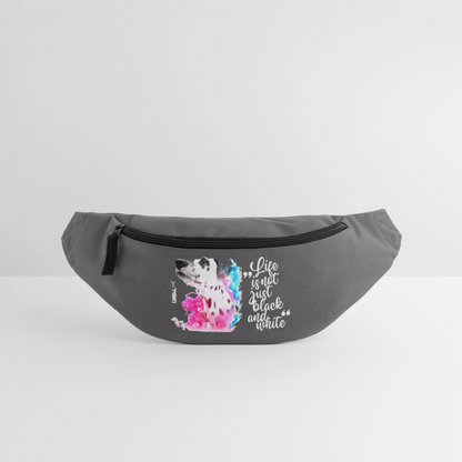 Boa's Gürteltasche Classic Splash - Graphite
