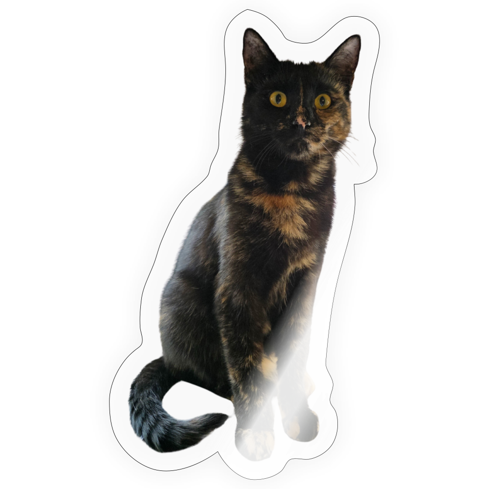 Nala´s Sticker - LiNBW.