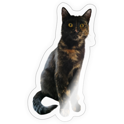 Nala´s Sticker - LiNBW.
