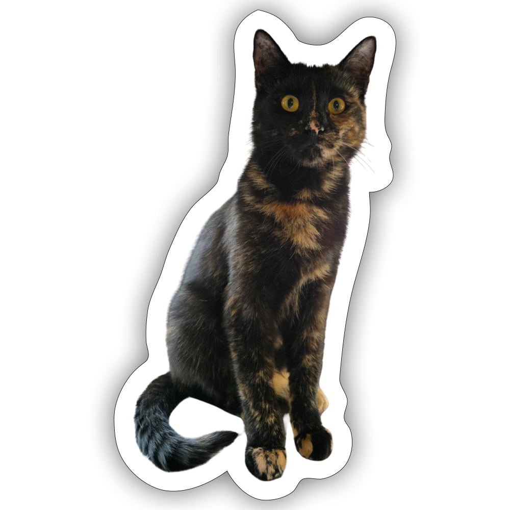 Nala´s Sticker - LiNBW.
