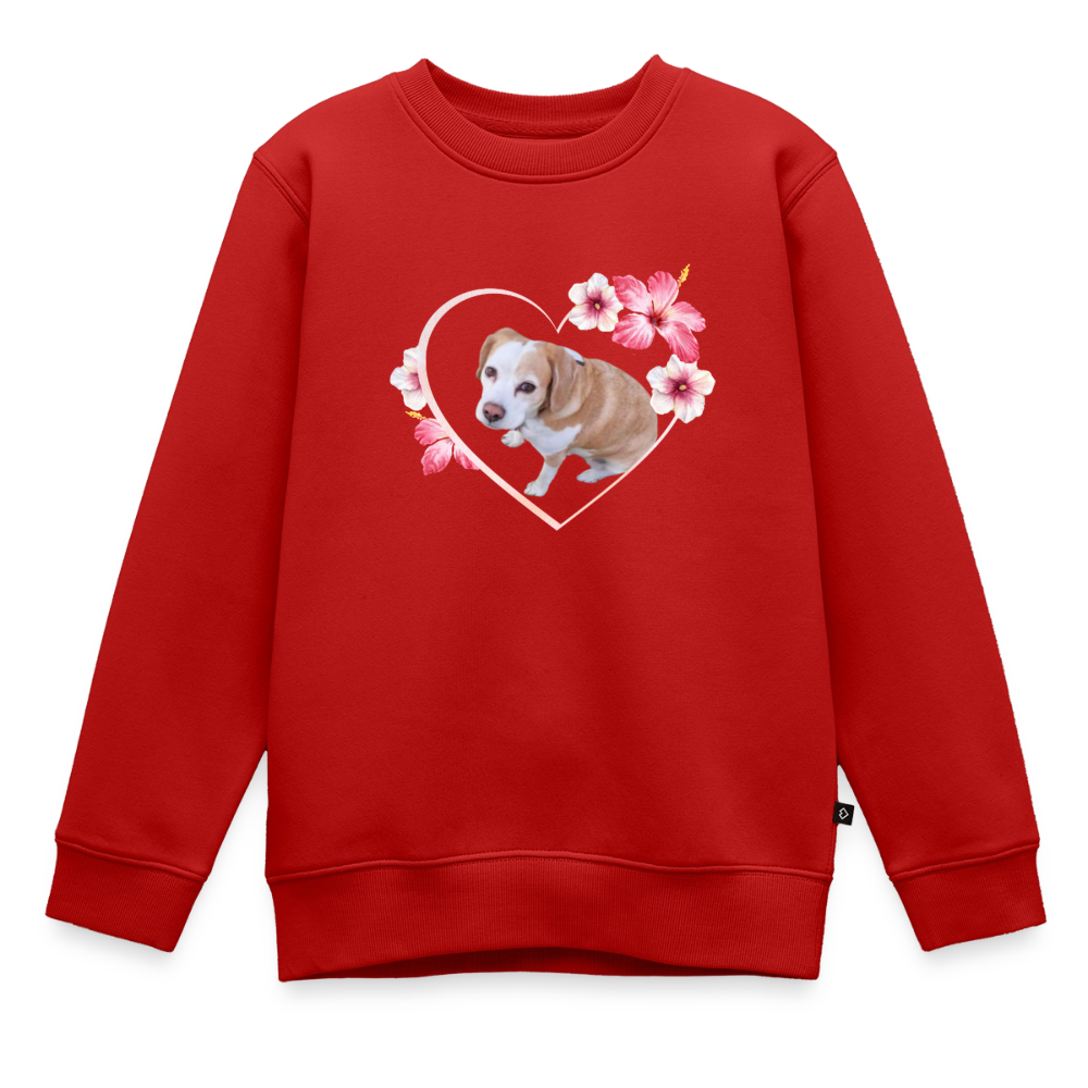 Luna's Pullover - LiNBW.