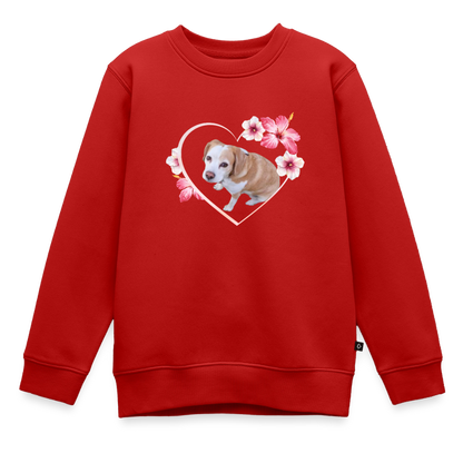 Luna's Pullover - LiNBW.