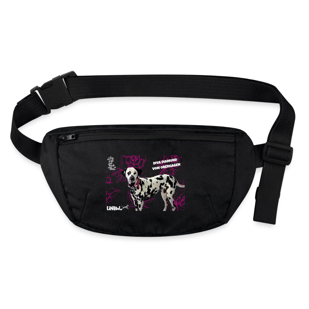 Diva's Gürteltasche