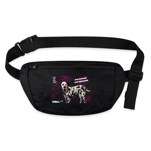 Diva's Gürteltasche