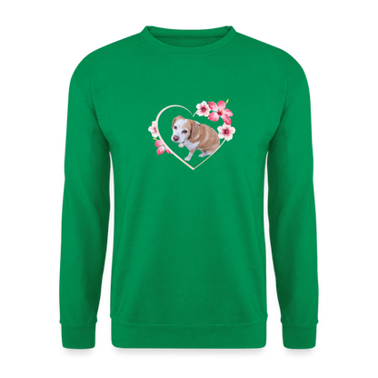 Luna's Classic Pullover - LiNBW.