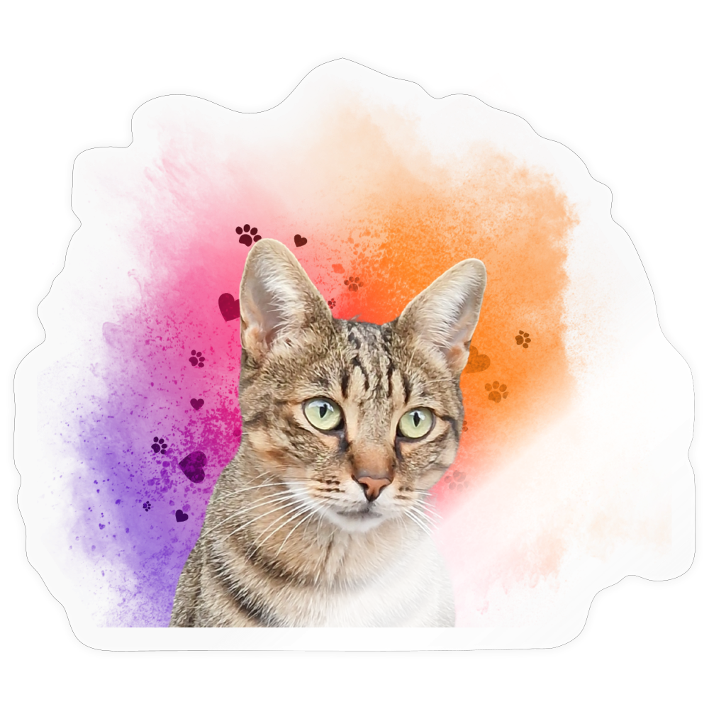 Pedro´s Sticker Splash Edition - LiNBW.