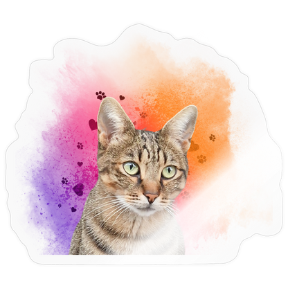 Pedro´s Sticker Splash Edition - LiNBW.