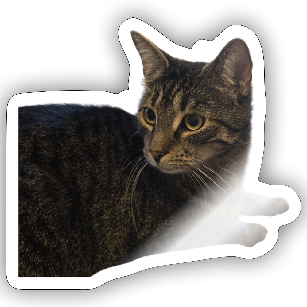 Simba´s Sticker - LiNBW.