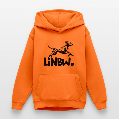 LiNBW. Hoodie Black Edition - LiNBW.