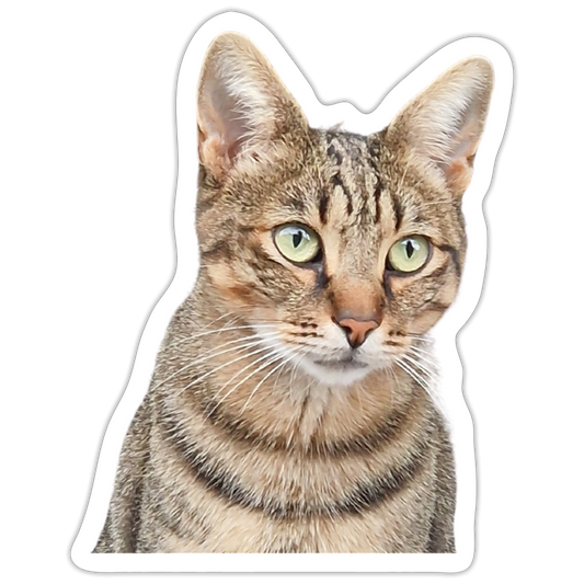 Pedro´s Sticker Classic Edition - LiNBW.