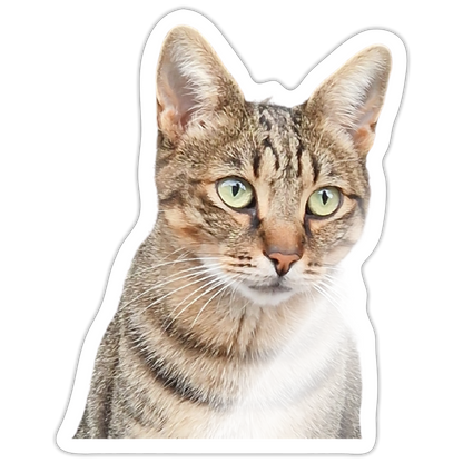 Pedro´s Sticker Classic Edition - LiNBW.