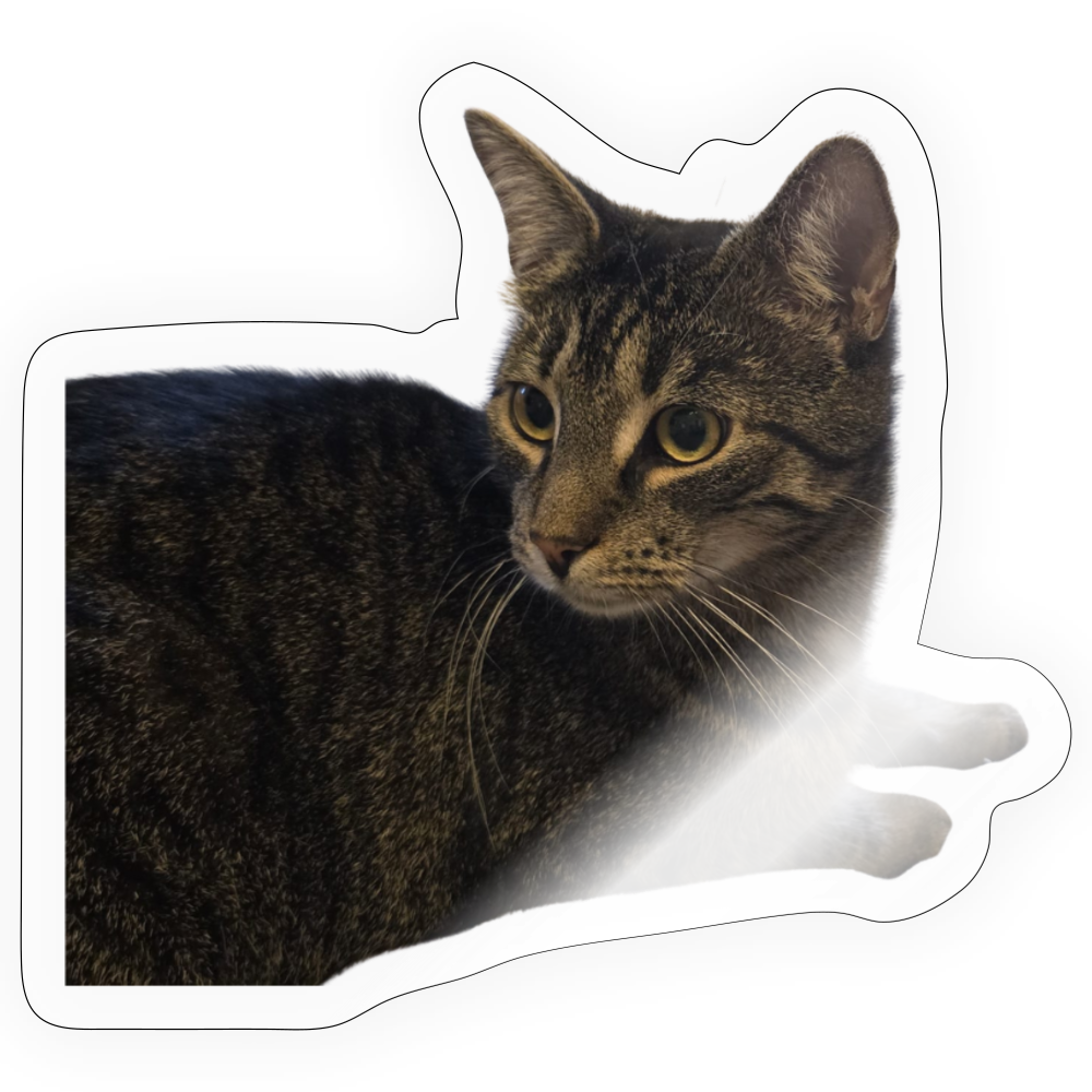 Simba´s Sticker - LiNBW.