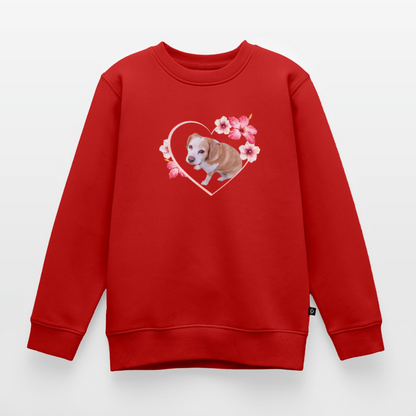 Luna's Pullover - LiNBW.
