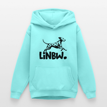 LiNBW. Hoodie Black Edition - LiNBW.