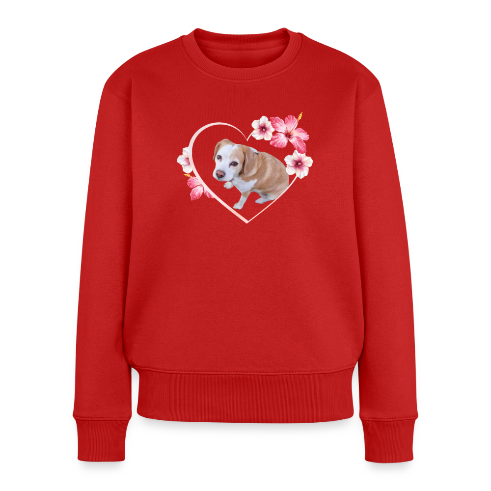 Luna's Pullover - LiNBW.