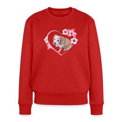 Luna's Pullover - LiNBW.