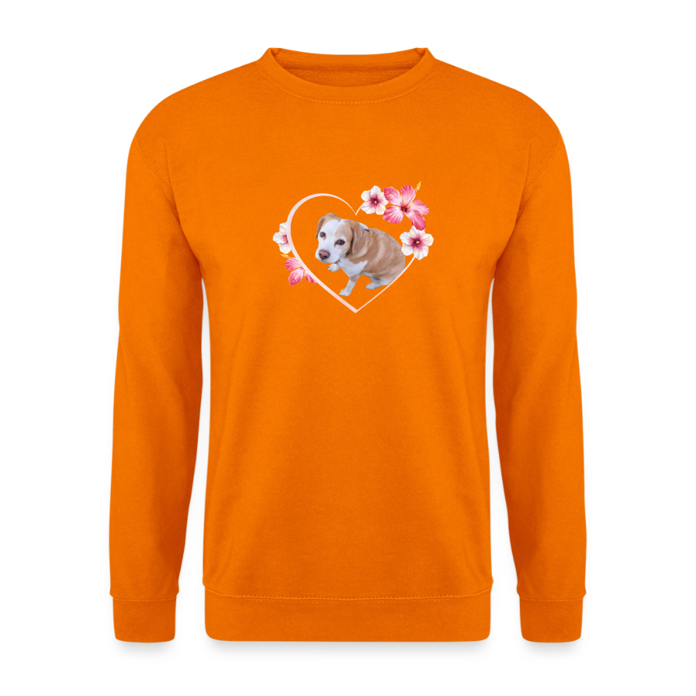 Luna's Classic Pullover - LiNBW.
