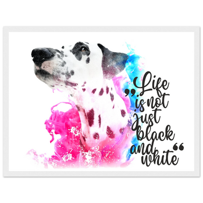 51b78533-f286-4bf5-881c-9ecded21ba90