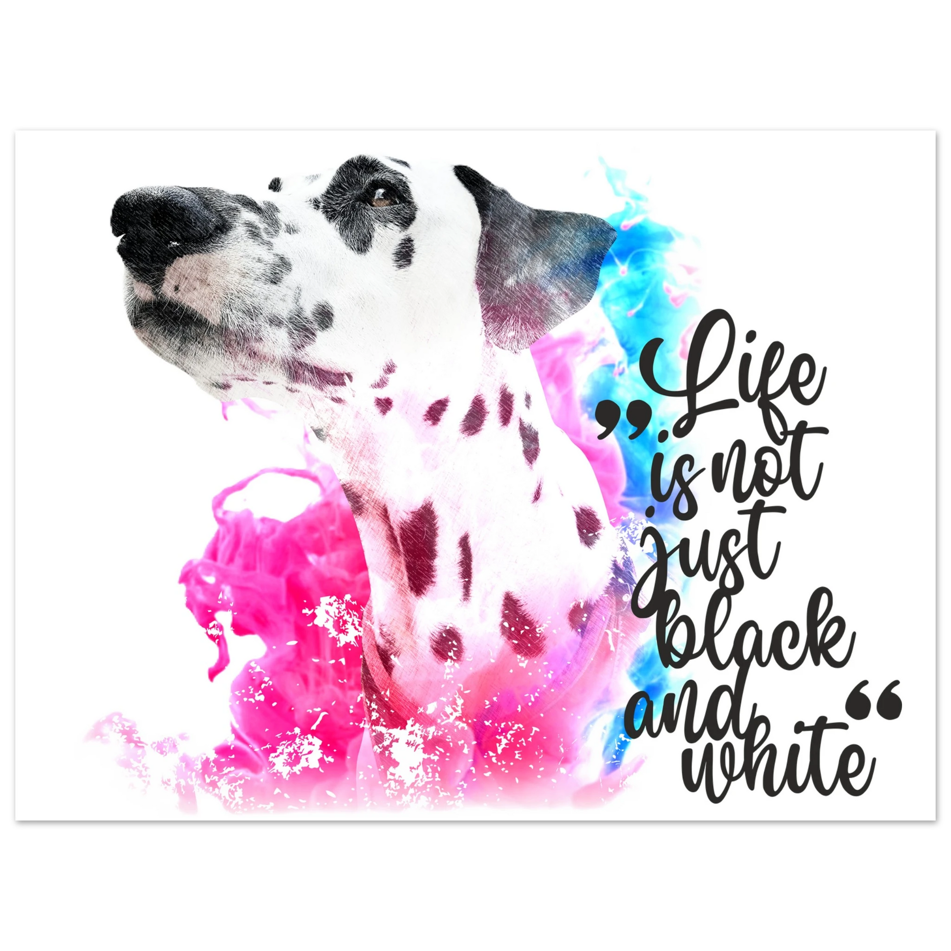 54e5b361-d076-4610-8a10-a1806557446d