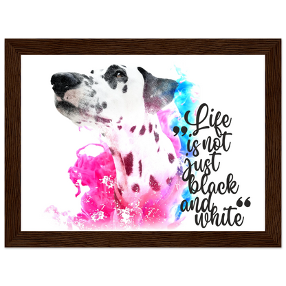 5b49b1fe-3aad-4268-b64b-612765ef4921