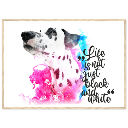 8b9e0858-64cc-4d4c-bb5e-106f45be6491
