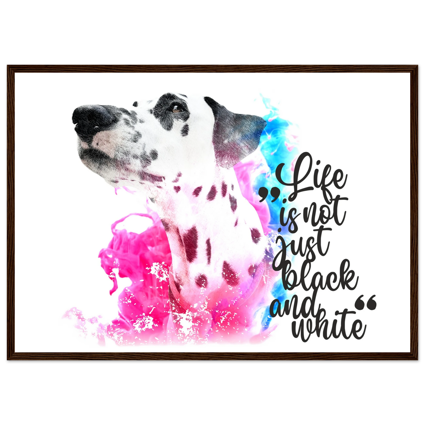 8e26c433-b4af-4992-a1c9-043cc40c5385