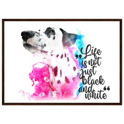 8e26c433-b4af-4992-a1c9-043cc40c5385