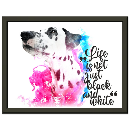 bbd865b0-5958-46a5-abce-1321dcb8db34