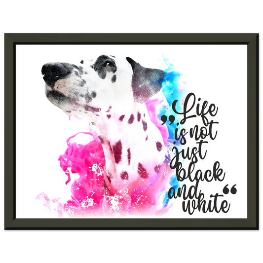 bbd865b0-5958-46a5-abce-1321dcb8db34